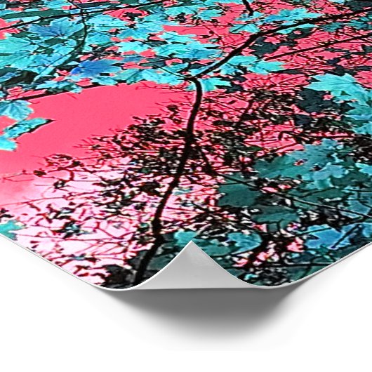 Poster Enchanted   (Coin)