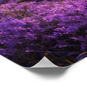 Poster Enchanted River Beneath Purple Sky (Coin)