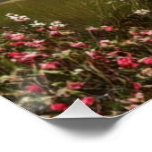Poster Enchanting Country Cottage (Coin)