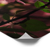 Poster Encore plus de cerises (Coin)