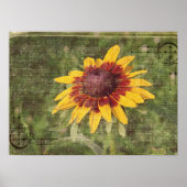 Poster Encore une Fleur (Devant)