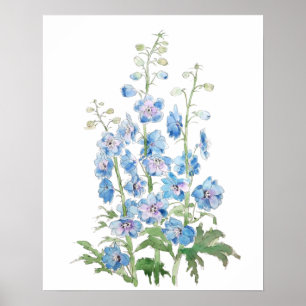 Poster encre de delphinium violet bleu et aquarelle