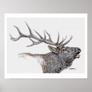 Poster Encre de wapiti et aquarelle