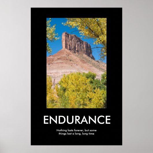 POSTER ENDURANCE (Devant)