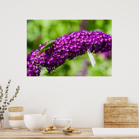 Poster énergie katydone (Cuisine)