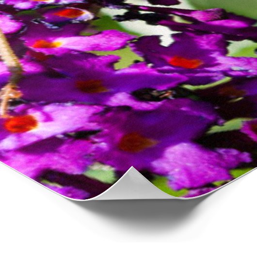 Poster énergie katydone (Coin)