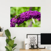 Poster énergie katydone (Bureau à domicile)