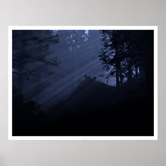 Poster Enfants de la nuit (Devant)