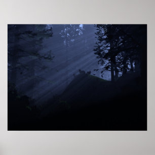 Poster Enfants de la nuit