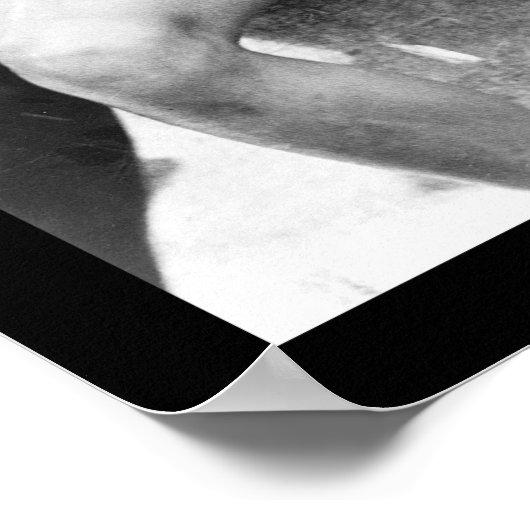 Poster Enfants mangeant de la pastèque 1910 (Coin)