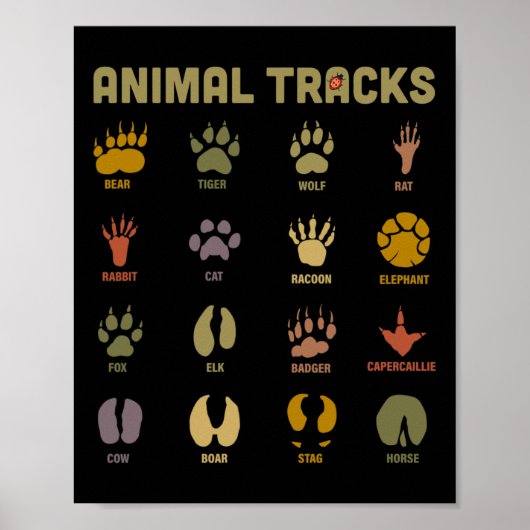 Poster Enfants Sauvage Animaux Tracks Enfants Apprendre (Devant)