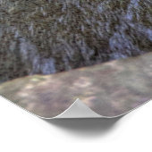 Poster Enfield Glen, Robert H Treman State Park, NY (Coin)