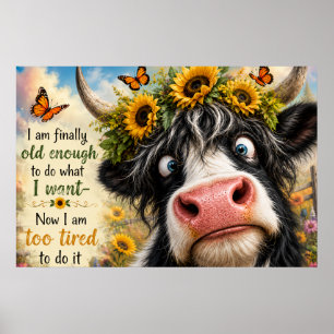 Poster Enfin assez âgé Vache