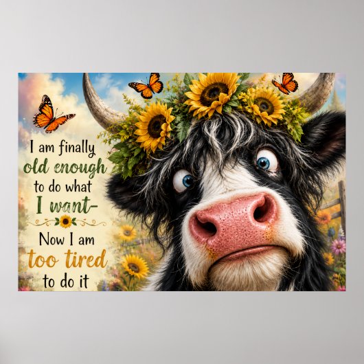Poster Enfin assez âgé Vache (Devant)