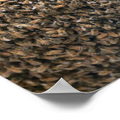 Poster Enfoncer (Coin)