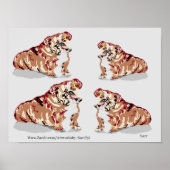 Poster: ENGELSE BULL DOG Poster (Voorkant)