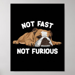 Poster English Bulldog Sleeping Not Fast Not Furious Funn