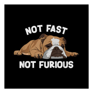 Poster English Bulldog Sleeping Not Fast Not Furious Funn