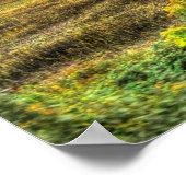 Poster English Country Road Landscape HDR Photo Imprimer (Coin)