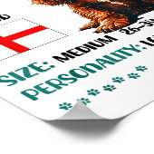 Poster English Er Spaniel Origin Funny Er Spaniel Lover  (Coin)