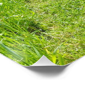 Poster English proverbs about own business (Coin)