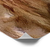 Poster English Setter Art Prints (Coin)