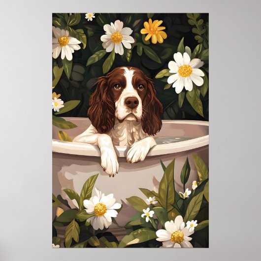 Poster English Springer Spaniel In Bathtub Poster, Funny (Devant)