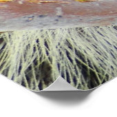 Poster Énigme de la nature (Coin)