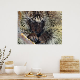 Poster Énigme de la nature