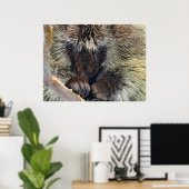 Poster Énigme de la nature (Bureau à domicile)