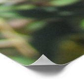 Poster - Enkele Paarse Distelbloem (Hoek)