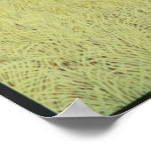 Poster Énorme mais attentionnée (Coin)