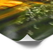 Poster Énorme Saut de truite arc-en-ciel (Coin)