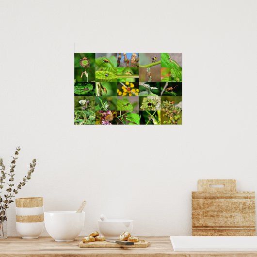 Poster Enquêter - Collage (Cuisine)