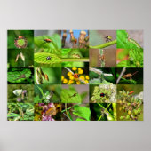 Poster Enquêter - Collage (Devant)