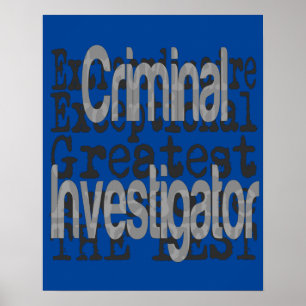 Poster Enquêteur criminel extraordinaire