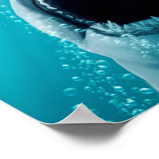 Poster Enregistrer Ducky (Coin)