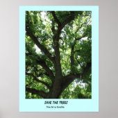 Poster Enregistrer l'affiche Arbres (Devant)