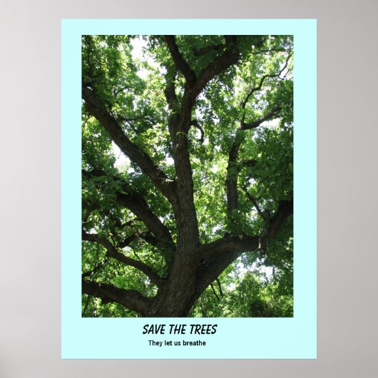 Poster Enregistrer l'affiche Arbres (Devant)