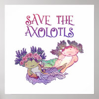 Enregistrer l'affiche Axolotls, Axolotl, Salamande