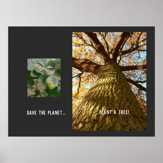 Poster Enregistrer l'affiche de la planète (Devant)