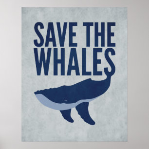 Poster Enregistrer l'affiche des baleines