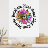 Poster Enseignants Graines Plantes (Cuisine)
