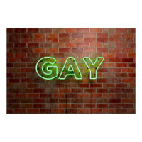 Enseigne néon gay illuminée SlipperyJoe lumineuse 
