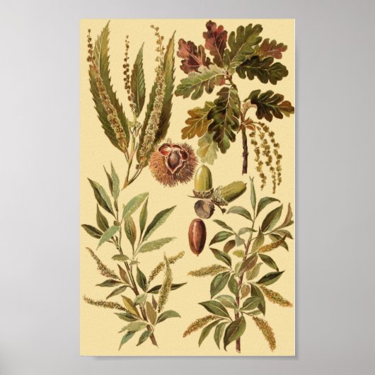 Poster enseignement vintage (Devant)