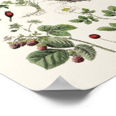 Poster enseignement vintage (Coin)