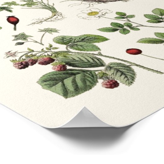 Poster enseignement vintage (Coin)