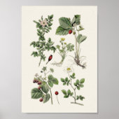 Poster enseignement vintage (Devant)