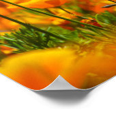 Poster Ensemble (Coin)