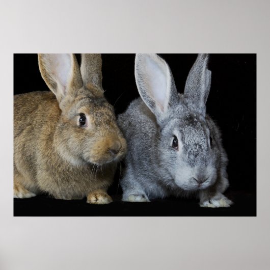 Poster Ensemble (Devant)